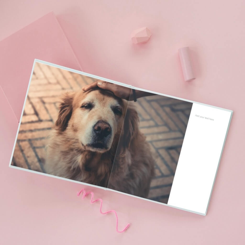 Dog themed deals photo frames