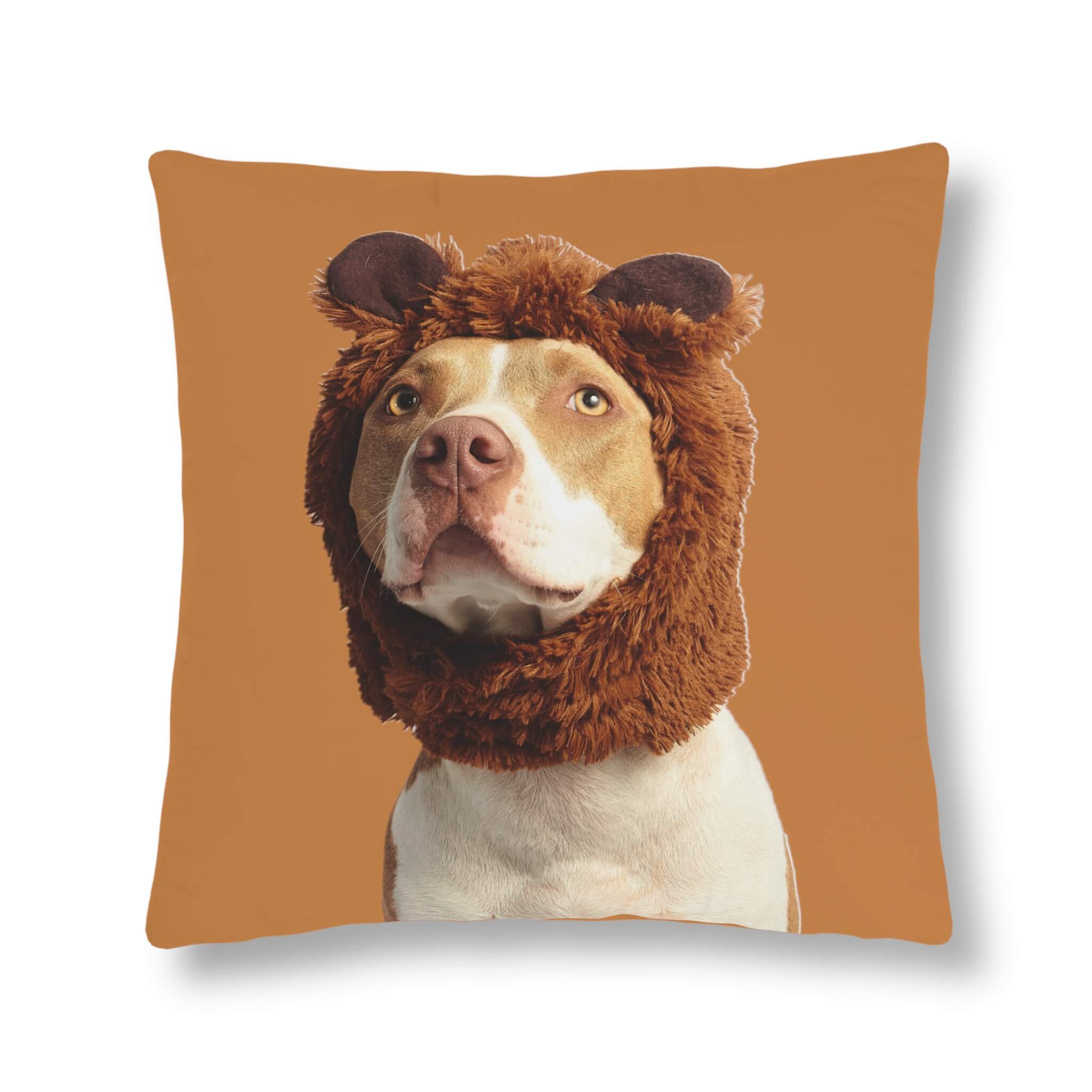 Pillows with dog sayings new arrivals