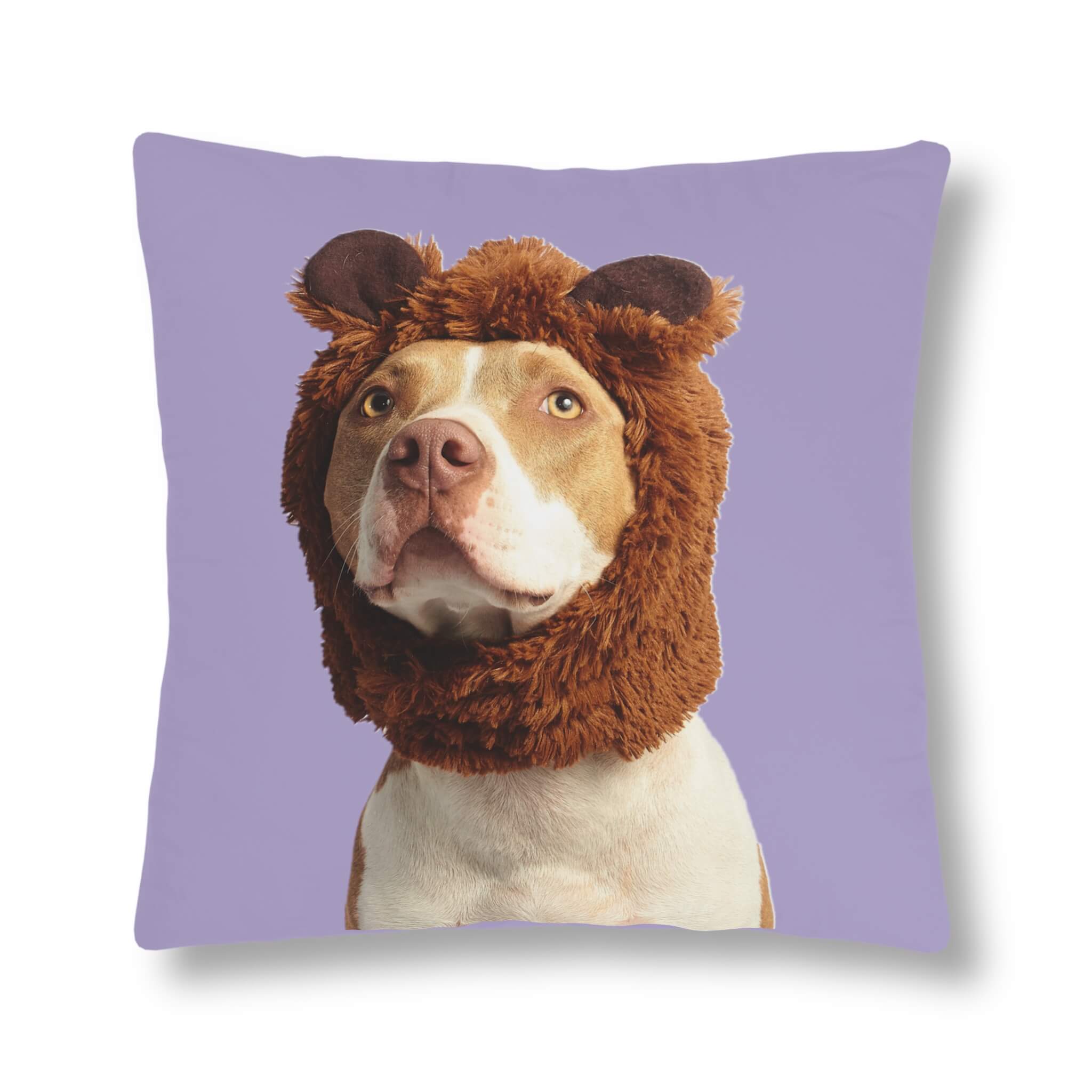Pet Pillows Boo Pets