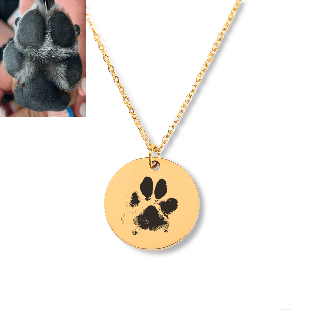 Pet top themed jewelry