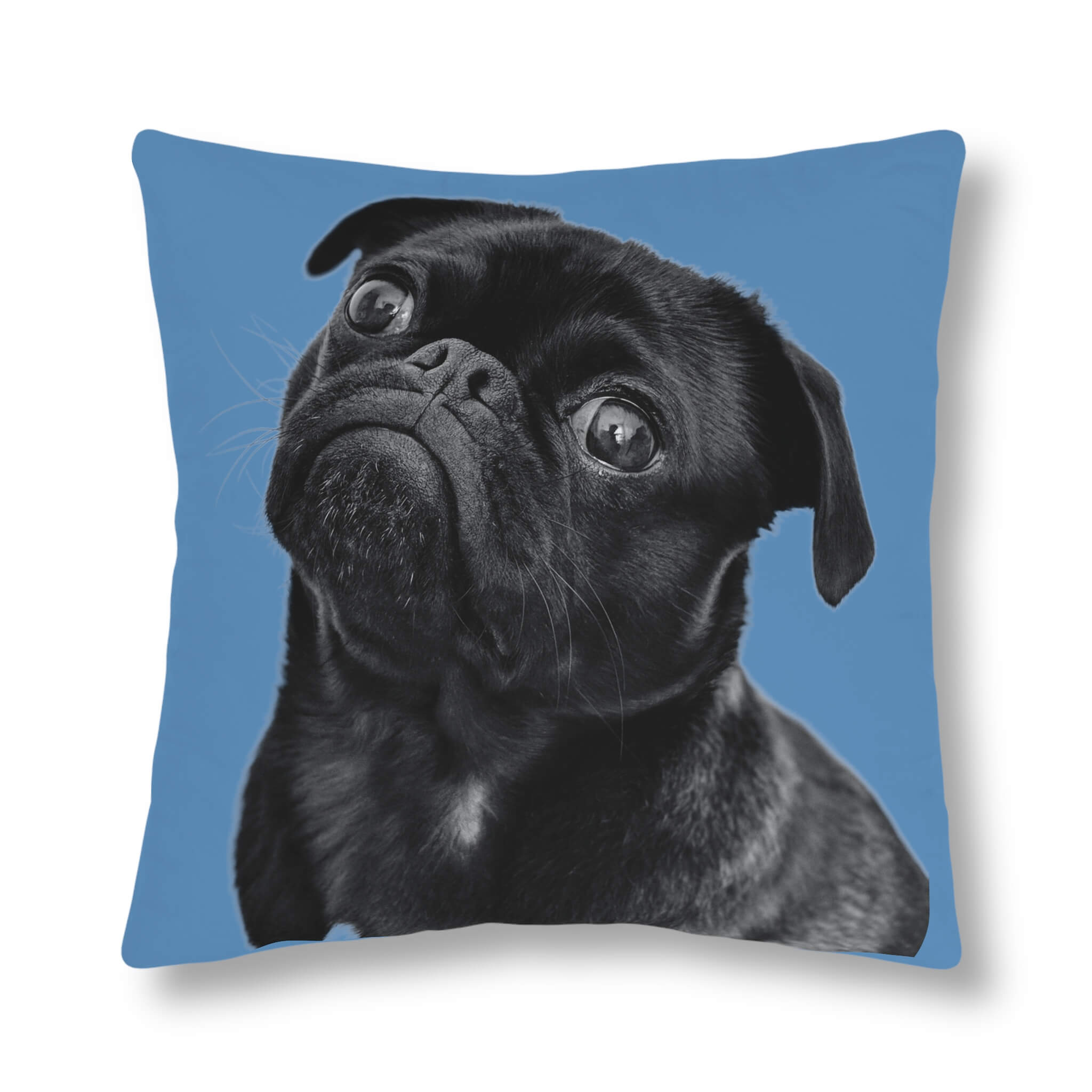 Best custom pet pillow sales